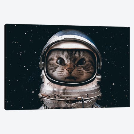 Space Catet Canvas Print #SML72} by Seamless Canvas Art Print