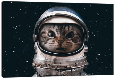 Space Catet Canvas Art Print - Seamless