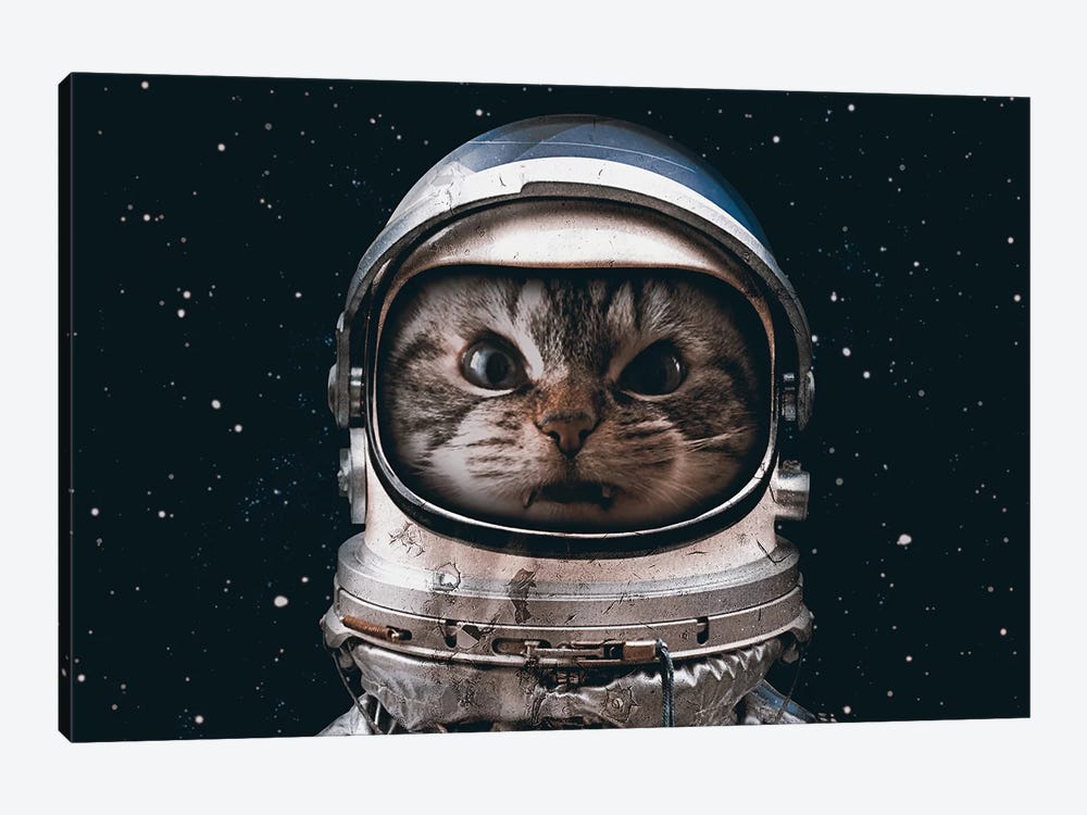 Space Catet by Seamless 1-piece Canvas Artwork
