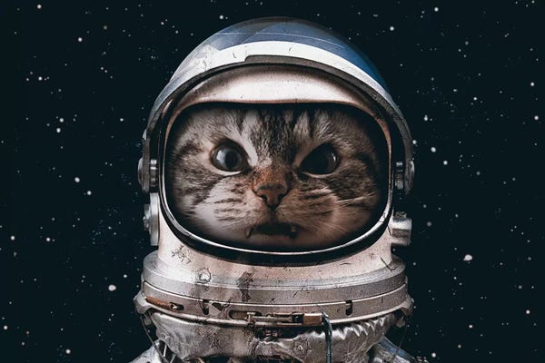 Kids Astronomy & Space Art: Space Catet by Seamless