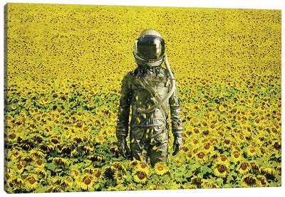 Stranded In The Sunflower Field Canvas Art Print - Astronaut Art