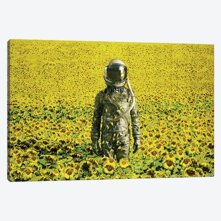Stranded In The Sunflower Field Canvas Print #SML75} by Seamless Canvas Artwork