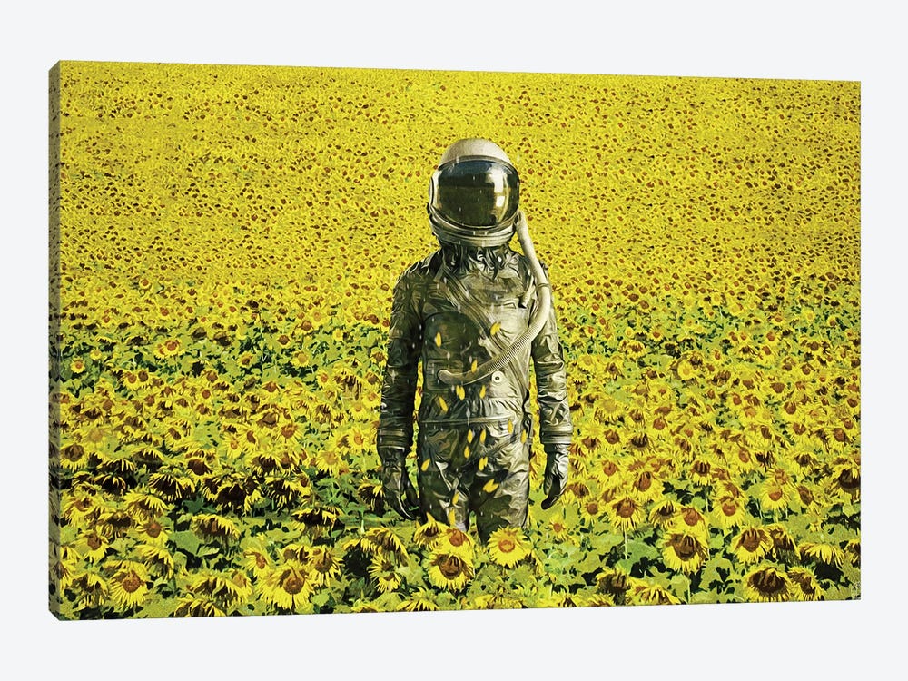 Stranded In The Sunflower Field by Seamless 1-piece Art Print