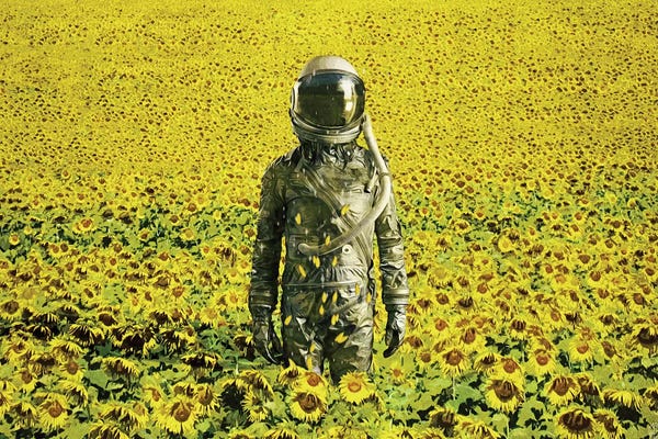 Kids Astronomy & Space Art: Stranded In The Sunflower Field by Seamless