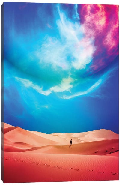 The Vast Desert Canvas Art Print - Seamless