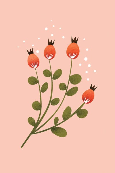 Just A Pretty Flower IV by Show Me Mars canvas print