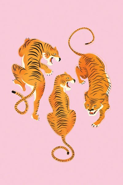 Tigers: Three Fierce Tigers by Show Me Mars