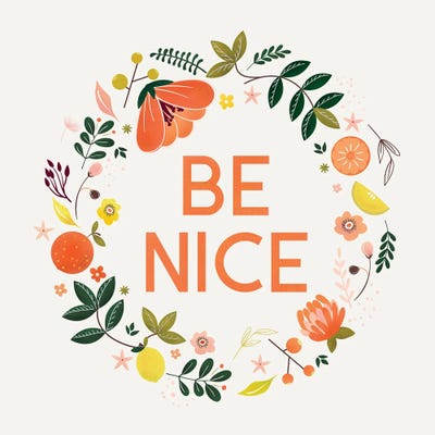 Be Nice by Show Me Mars art print