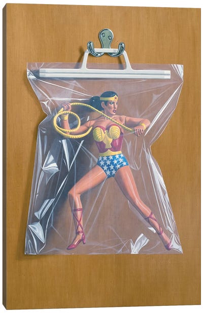 Diana Prince Canvas Art Print - Action Figures
