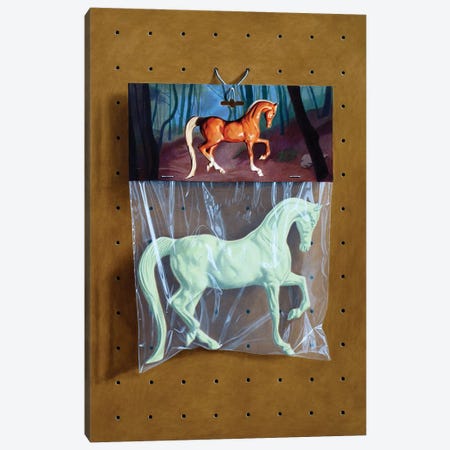 Ghost Horse Bag Canvas Print #SMN16} by Simon Monk Canvas Art