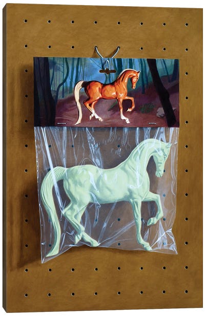 Ghost Horse Bag Canvas Art Print - Simon Monk