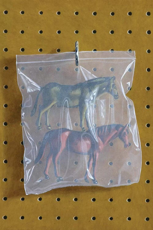 Horse Bag