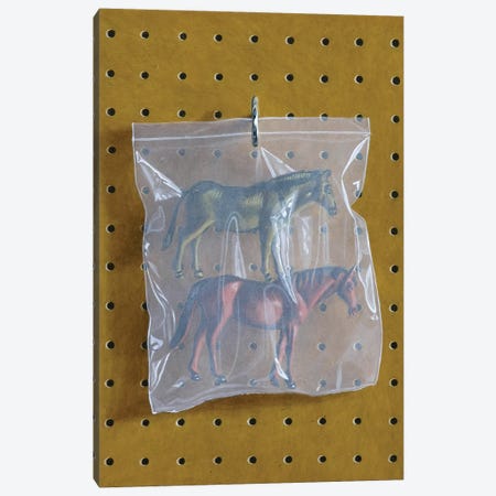 Horse Bag Canvas Print #SMN18} by Simon Monk Art Print