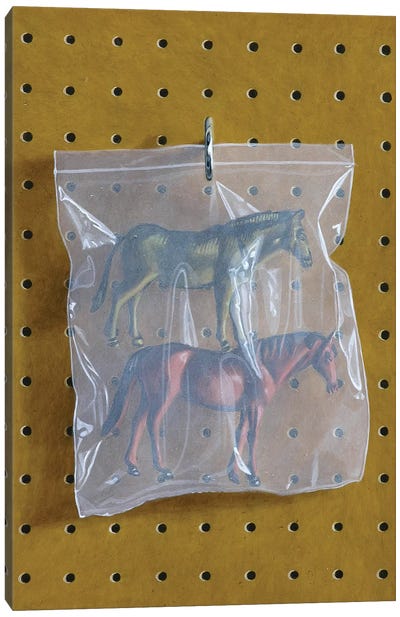 Horse Bag Canvas Art Print - Simon Monk