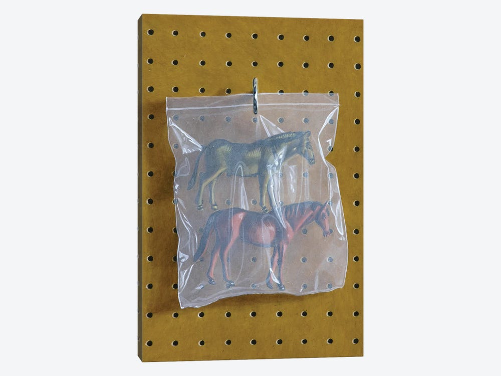 Horse Bag by Simon Monk 1-piece Canvas Print
