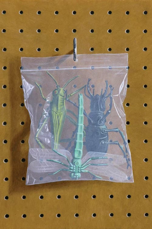 Insect Bag