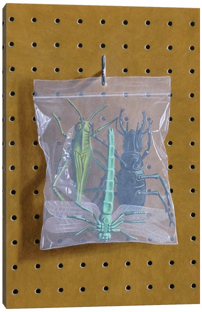 Insect Bag Canvas Art Print - Simon Monk