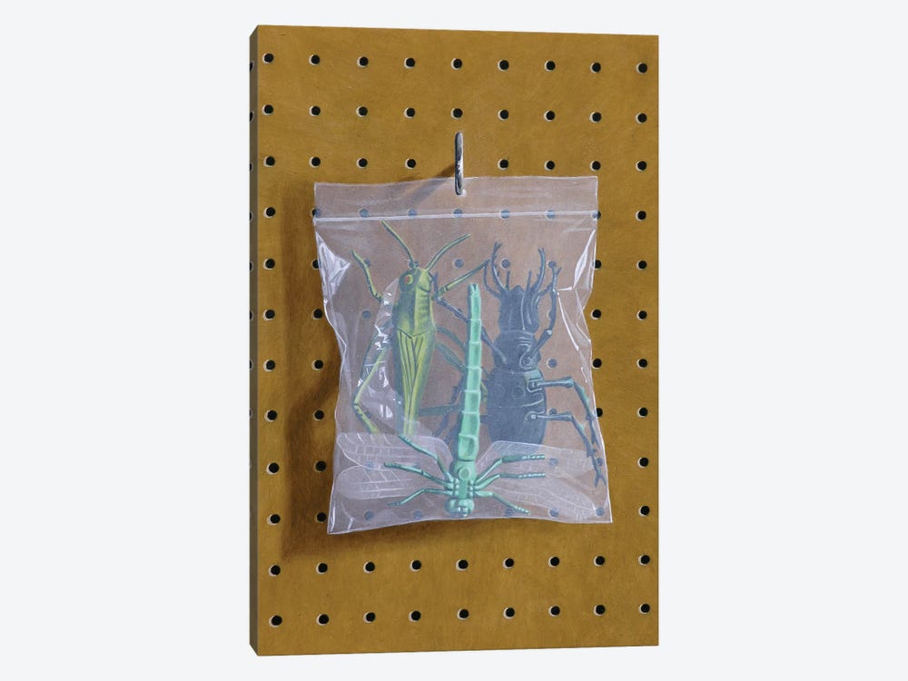 Insect Bag by Simon Monk 1-piece Canvas Art