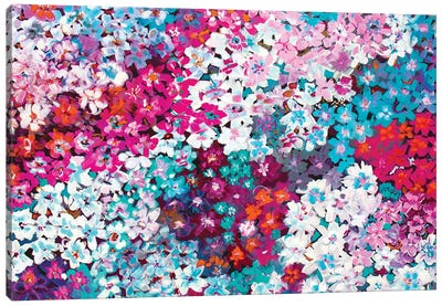 Tiny Flowers Canvas Art Print - Sarah Morrow