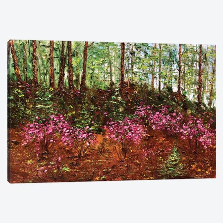 Coniferous Forest II Canvas Print #SMV128} by Marina Skromova Canvas Art Print