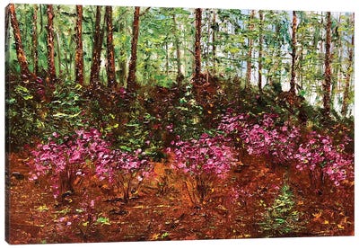 Coniferous Forest II Canvas Art Print - Marina Skromova
