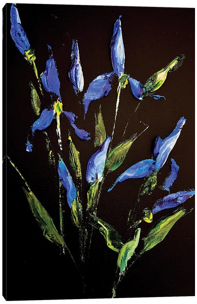 Irises And Herbs Canvas Art Print - Iris Art