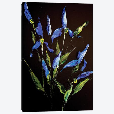 Irises And Herbs Canvas Print #SMV145} by Marina Skromova Canvas Artwork