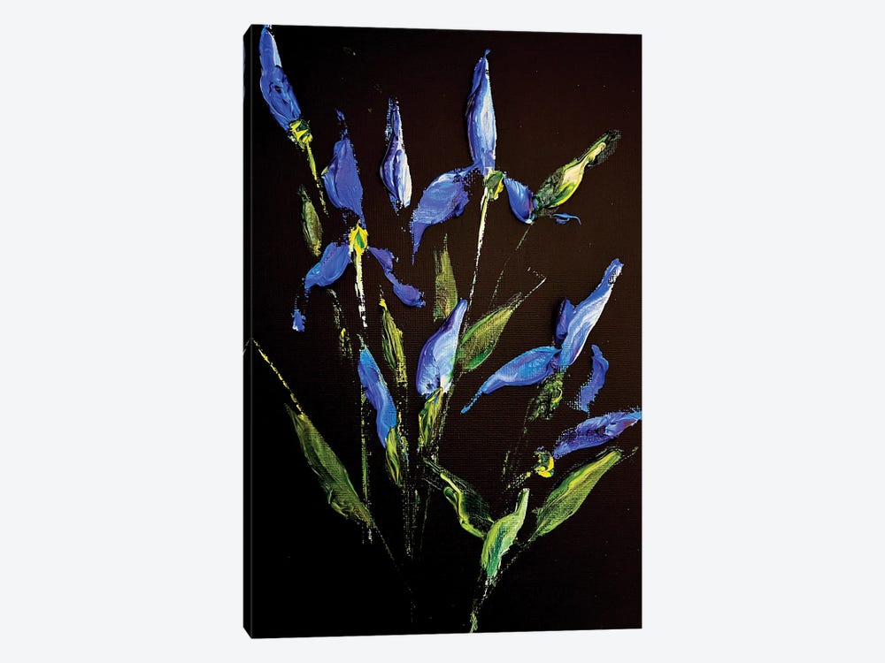 Irises And Herbs by Marina Skromova 1-piece Canvas Artwork
