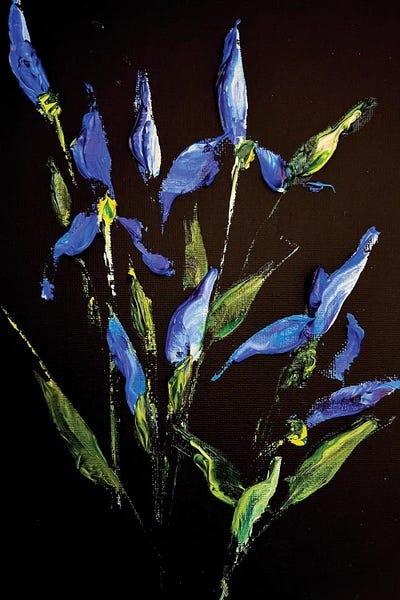 Irises: Irises And Herbs by Marina Skromova