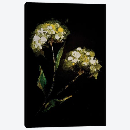 Irises And Herbs II Canvas Print #SMV146} by Marina Skromova Canvas Wall Art