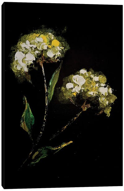 Irises And Herbs II Canvas Art Print - Marina Skromova
