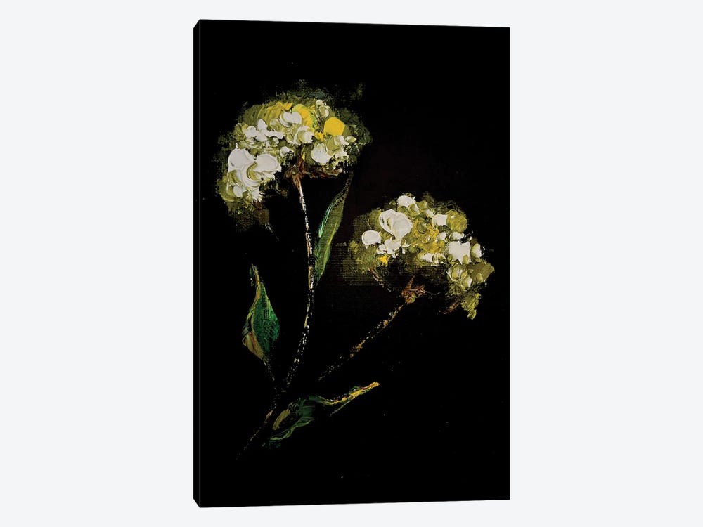 Irises And Herbs II by Marina Skromova 1-piece Canvas Art Print