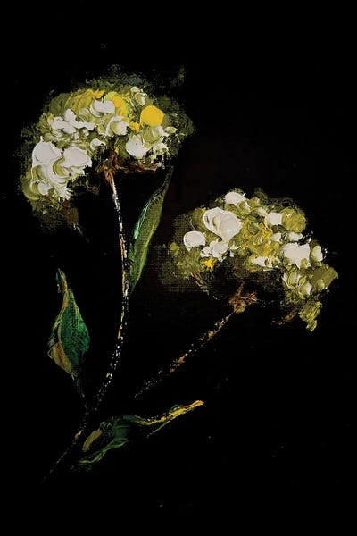 Irises: Irises And Herbs II by Marina Skromova