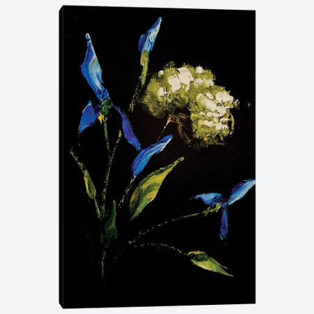 Irises And Herbs III Canvas Print #SMV147} by Marina Skromova Canvas Art