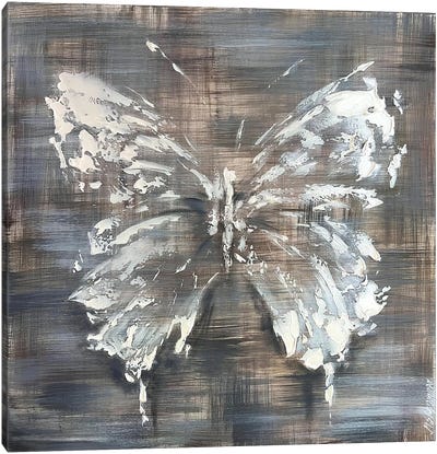 Silver Mother-Of-Pearl Butterfly Canvas Art Print - Marina Skromova