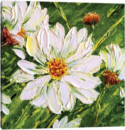 Daisies III Canvas Art Print - Daisy Art