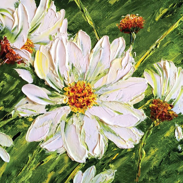 Daisies: Daisies III by Marina Skromova