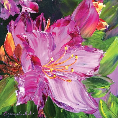 The Charm Of Flowers II by Marina Skromova metal wall art