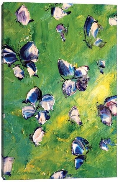 Fantasy Butterfly Canvas Art Print - Marina Skromova