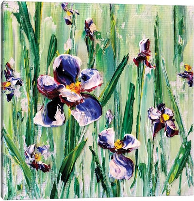 Irises Fantasy III Canvas Art Print - Iris Art