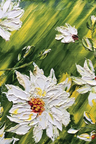 Daisies: Summer Fantasy by Marina Skromova