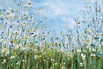 Flower Meadow With Daisies by Marina Skromova framed wall art