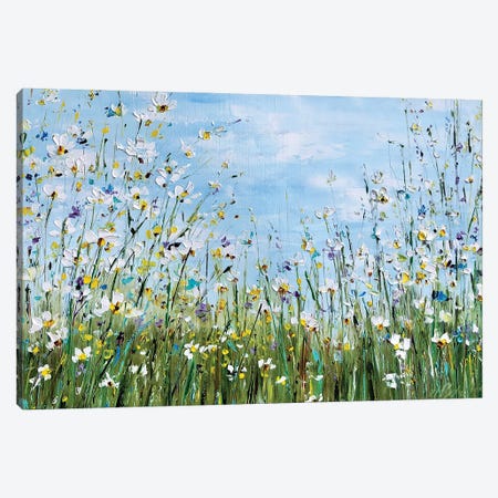 Flower Meadow With Daisies Canvas Print #SMV342} by Marina Skromova Canvas Print