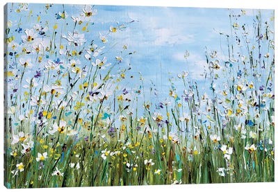 Flower Meadow With Daisies Canvas Art Print - Daisy Art