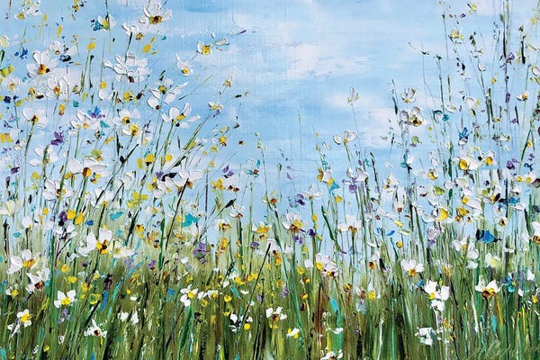 Daisies: Flower Meadow With Daisies by Marina Skromova