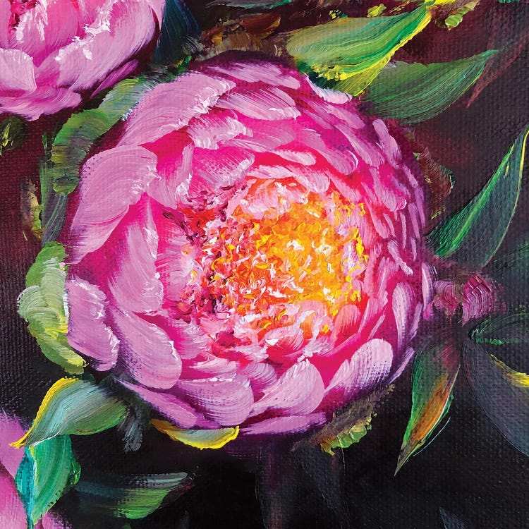 Burgundy Peony II