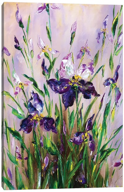 Morning Iris Canvas Art Print - Iris Art