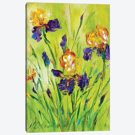 Meadow Irises II Canvas Print #SMV362} by Marina Skromova Canvas Art Print