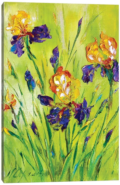 Meadow Irises II Canvas Art Print - Iris Art