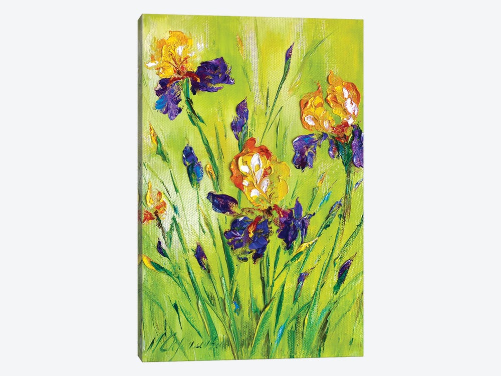 Meadow Irises II by Marina Skromova 1-piece Canvas Artwork